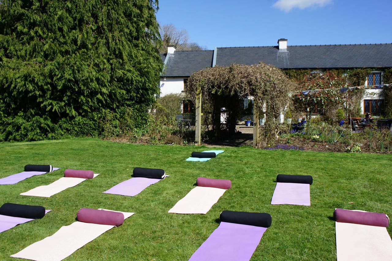 Creacon Wellness Retreat New Ross Exterior foto